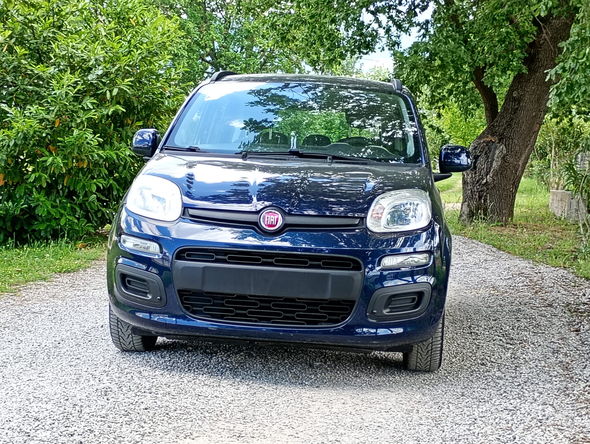 
								Fiat Panda 1.2 benzina full									