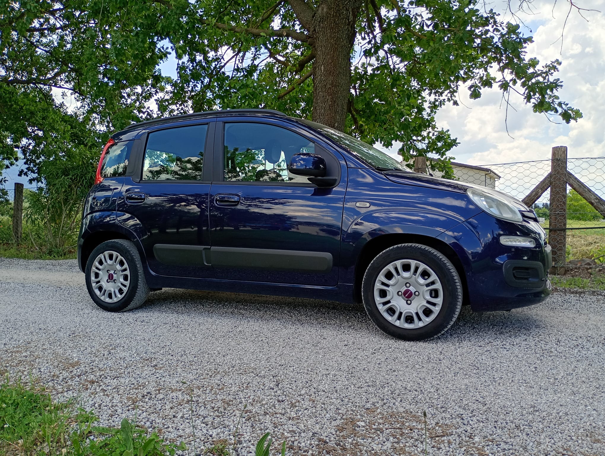 
								Fiat Panda 1.2 benzina full									