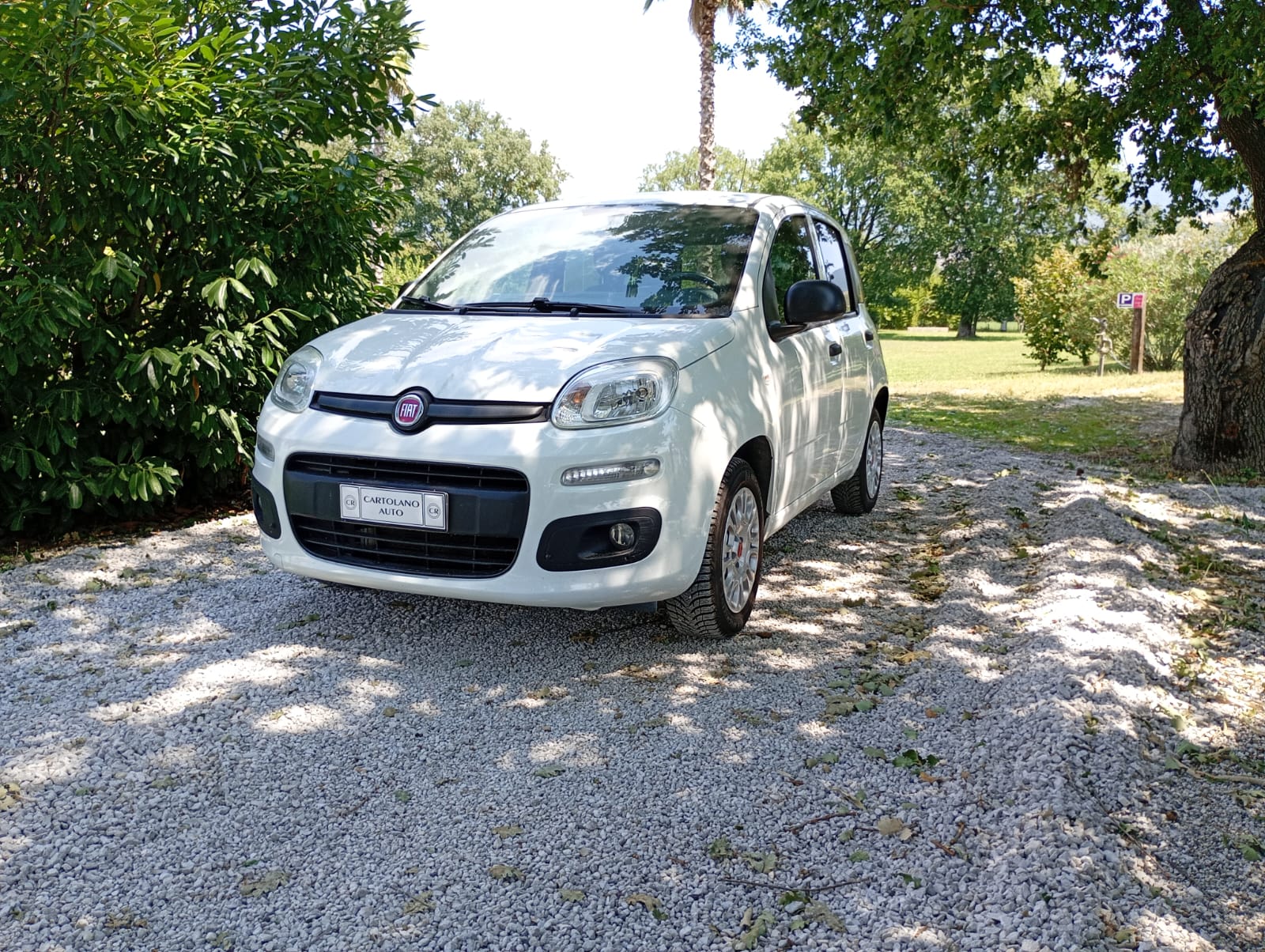 
								Fiat Panda 1.2 benzina full									