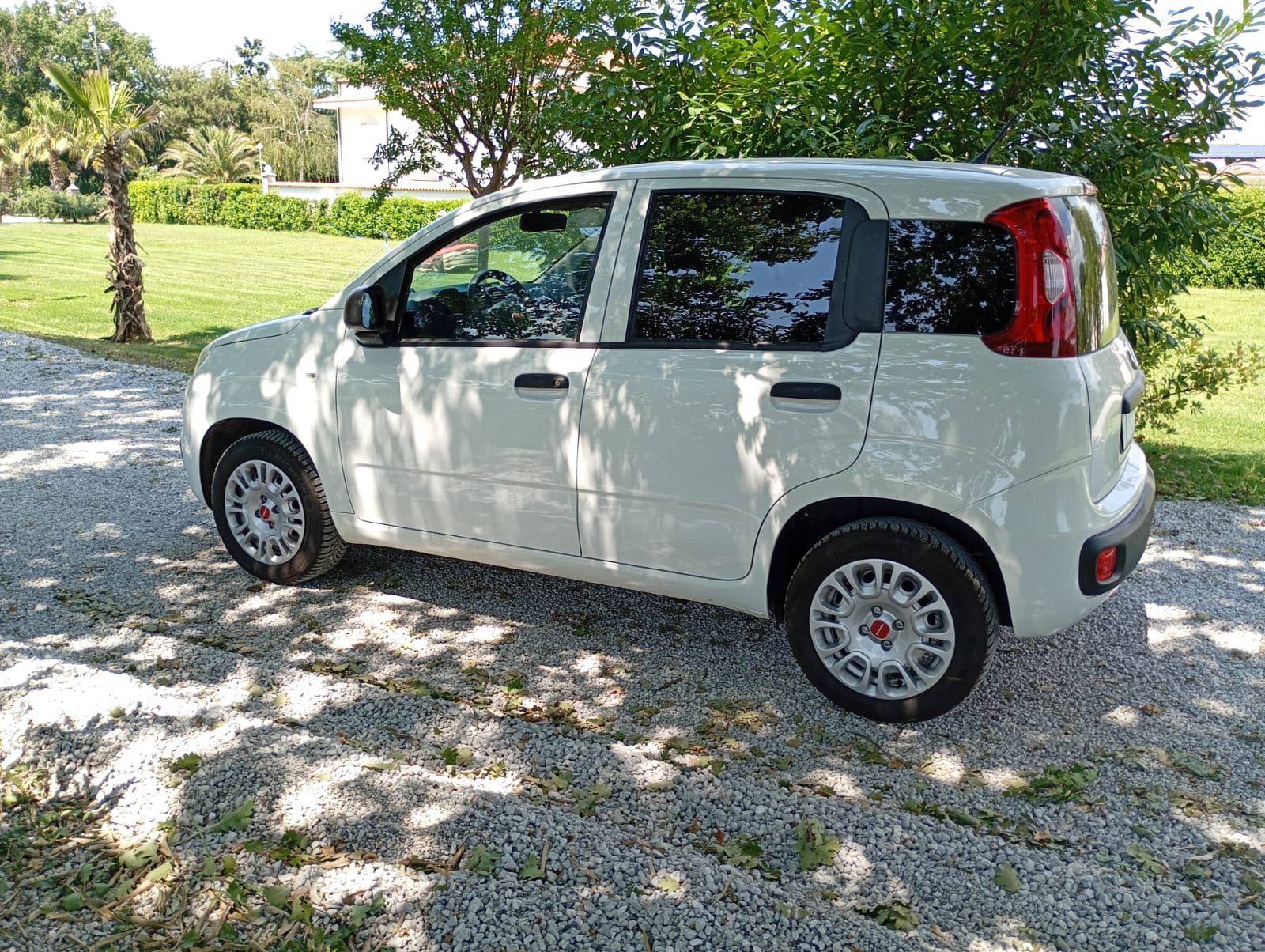 
								Fiat Panda 1.2 benzina full									
